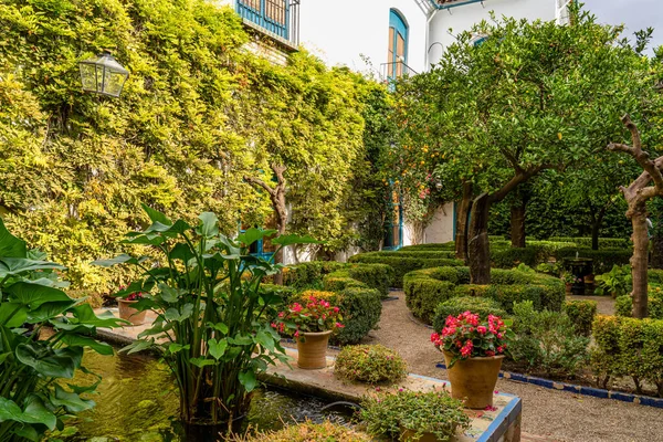 Cordoba Španělsko Listopadu 2019 Zahrada Nádvoří Paláce Viana Córdobě Andalusie — Stock fotografie