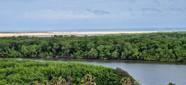 Barreirinhas, Lencois Maranhenses 'ten Brezilya' daki Preguica Nehri 'ne tekne gezisi. Preguicas Nehri, Maranhao eyaletinin Lencois Maranhenses bölgesinde yer alan bir su yolu..