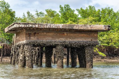 Tutoia, Delta das Canarias, Brezilya 'dan Preguica Nehri' ne tekne gezisi. Amazon yağmur ormanları. Güney Amerika