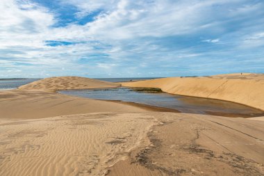 Ilha do Caju 'da Dunas do Mouro, Ilha das Canarias, Brezilya. Delta do Parnaiba ve Delta das Americas. Yeşillik doğa ve kum tepeleri.