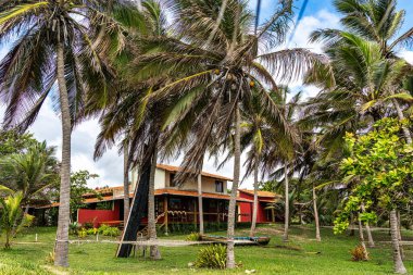 Brezilya 'daki Ilha das Canarias' da bulunan Tipik Orman Locası. Delta do Parnaiba ve Delta das Americas.