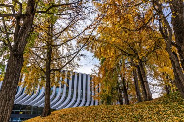 Münih, Almanya - Kasım 05, 2024: Münih, Almanya 'da Olimpiyat Oyunları' nda altın sonbahar manzarası. Bu 1972 Yaz Olimpiyatları için Münih 'te inşa edilmiş bir Olimpiyat Parkı.