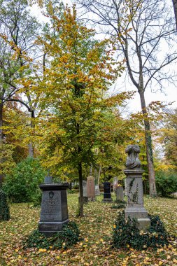 Münih, Almanya - 09 Kasım 2023: Münih 'teki Eski Kuzey Mezarlığı, Almanya' nın tarihi mezar taşlarıyla sonbahar manzarası. Cenazeler 1944 'ten beri burada yapılmadı. Bunun yerine mezarlık bir park olarak kullanılıyor..
