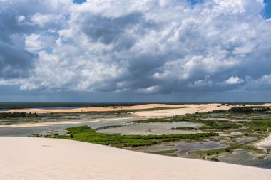 Camocim, Jericoacoara, Brezilya 'da Ceara' daki Funil Dune, Tatajuba Sahili 'nde fayton turu.