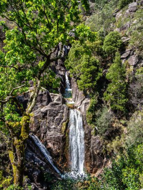 Güzel Arado Şelalesi, Cascata do Arado Kuzey Portekiz 'deki Peneda Geres Ulusal Parkı' nda.