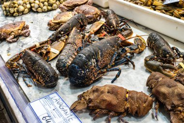 Setubal, Portekiz - Mar 02, 2025: Mercado do Livramento, Setubal, Portekiz. Taze balık ve gıda pazarı