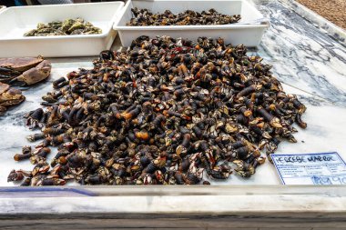 Setubal, Portekiz - Mar 02, 2025: Mercado do Livramento, Setubal, Portekiz. Taze balık ve gıda pazarı