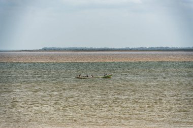 Tapajos Nehri 'nin mavi sularının birleşmesi ve Santarem, Para State, Brezilya' daki Amazon Nehri 'nin çamurlu olması doğal bir fenomen..