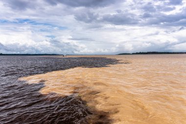Brezilya 'nın Manaus şehrinde bulunan Suların Buluşması, Rio Negro ile neredeyse siyah renkli bir nehir ve kumlu Amazon Nehri veya Rio Solimoes arasındaki birleşmedir..