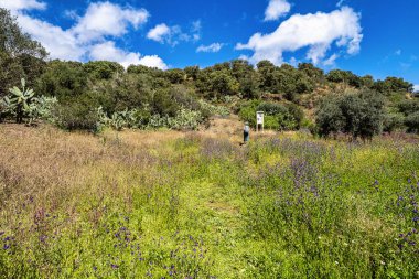 Portekiz, Avrupa 'daki Algarve bölgesinde bulunan Gioes yakınlarındaki Vascao nehri boyunca yürüyüş yapmak.