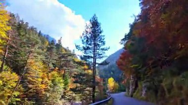 Hecho Vadisi 'ndeki Selva de Oza ormanından geçerken, yeşil geniş yaprak ve kozalaklı karışık orman. Batı Vadisi Doğal Parkı, Aragonese Pireneleri, Huesca Eyaleti, İspanya