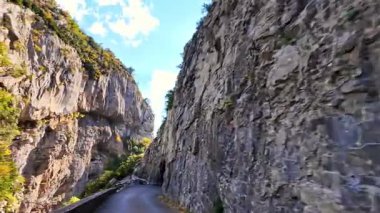 Hecho Vadisi 'ndeki Selva de Oza ormanından geçerken, yeşil geniş yaprak ve kozalaklı karışık orman. Batı Vadisi Doğal Parkı, Aragonese Pireneleri, Huesca Eyaleti, İspanya