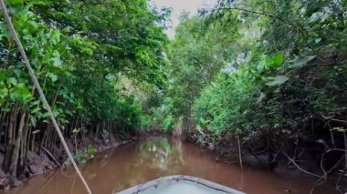 Igarape do Urubu Nehri, Delta das Canarias, Ilha das Canarias, Brezilya 'da tekne gezisi. Amazon yağmur ormanları. Güney Amerika