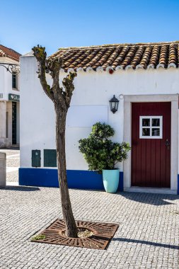 Porto Covo, Portekiz - 28 Şubat 2025: Porto Covo, Portekiz 'de geleneksel mavi ve beyaz Alentejo Portekiz binaları