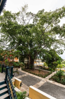 Manaus, Amazon, Brezilya 'daki Palacio Rio Negro. 1910 'da Alman lastik satıcısı Waldemar Scholz tarafından ikamet yeri olarak inşa edilmiş.