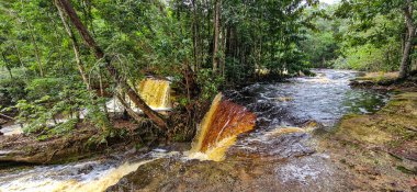 Brezilya 'nın Amazon bölgesindeki Manaus yakınlarındaki Başkan Figueiredo' da Macaws şelalesi. Şelalede bol ve güzel bir güç var.