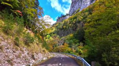 Anso Vadisi 'nden Zuriza' ya giden Valles, Pireneler 'deki Doğal Park, Avrupa' daki Aragon, İspanya