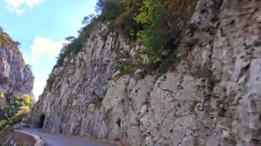 Hecho Vadisi 'ndeki Selva de Oza ormanından geçerken, yeşil geniş yaprak ve kozalaklı karışık orman. Batı Vadisi Doğal Parkı, Aragonese Pireneleri, Huesca Eyaleti, İspanya