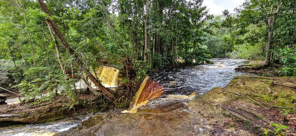 Brezilya 'nın Amazon bölgesindeki Manaus yakınlarındaki Başkan Figueiredo' da Macaws şelalesi. Şelalede bol ve güzel bir güç var.