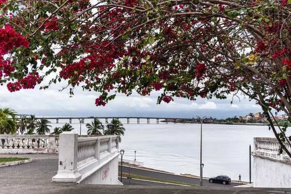 Brezilya 'da Maranhao, Sao Luis şehrinde Loves Meydanı, Largo dos Amores manzarası