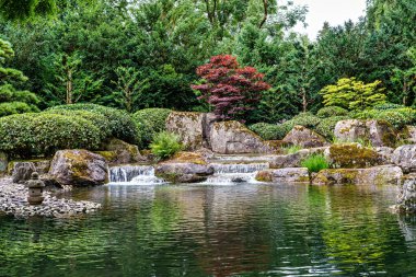Augsburg, Almanya 'daki Botanik Bahçesi' ndeki Japon bahçesi. Japon bahçesindeki küçük şelalelerin ve Japon akçaağacının güzel manzarası.