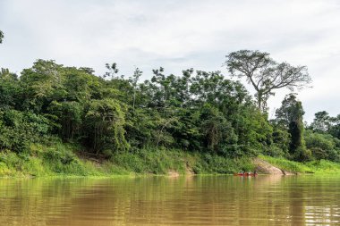 Manaus, Brezilya - Ocak 08, 2026: Amazon yağmur ormanlarındaki Parana do Mamori 'ye tekne gezisi Brezilya' nın Amazonas eyaletinin Manaus şehrinin yaklaşık 100 km güneyinde