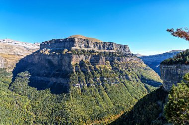 Avcı Yolu 'nda yürüyen Senda de los Cazadores sonbaharda. Ordesa ve Monte Perdido Doğal Parkı, İspanya 'da Pireneler.