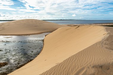 Ilha do Caju 'da Dunas do Mouro, Ilha das Canarias, Brezilya. Delta do Parnaiba ve Delta das Americas. Yeşillik doğa ve kum tepeleri.