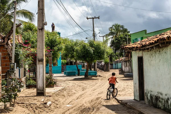 Ilha das Canarias, Brezilya - 20 Ocak 2026: Brezilya 'nın Ilha das Canarias şehrinde küçük bir köy. Delta do Parnaiba ve Delta das Americas.