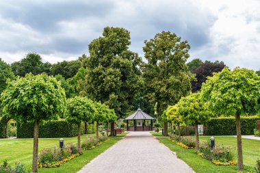 Bavyera, Almanya 'daki Augsburg Botanik Bahçesi' nde yeşil çayırlarda çalı çırpı ve çalı çırpı ağaçları var.