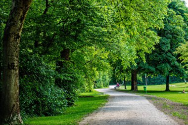 Münih, Almanya - 17 Haziran 2025: Bavyera Nehri Wuerm kıyılarında yeşil doğa hakkında ayrıntılı görüşlerle yürüyüş. Münih Pasing ve köy arasında Graefelfing