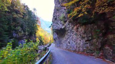 Hecho Vadisi 'ndeki Selva de Oza ormanından geçerken, yeşil geniş yaprak ve kozalaklı karışık orman. Batı Vadisi Doğal Parkı, Aragonese Pireneleri, Huesca Eyaleti, İspanya