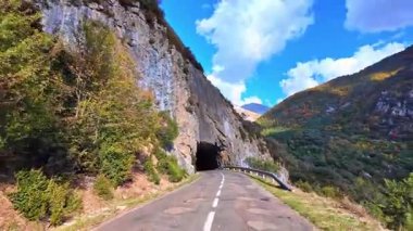 Hecho Vadisi 'ndeki Selva de Oza ormanından geçerken, yeşil geniş yaprak ve kozalaklı karışık orman. Batı Vadisi Doğal Parkı, Aragonese Pireneleri, Huesca Eyaleti, İspanya