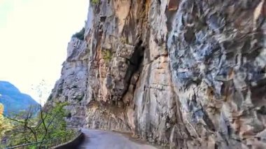 Hecho Vadisi 'ndeki Selva de Oza ormanından geçerken, yeşil geniş yaprak ve kozalaklı karışık orman. Batı Vadisi Doğal Parkı, Aragonese Pireneleri, Huesca Eyaleti, İspanya