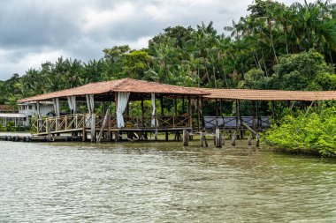Brezilya 'nın kuzeyinde yer alan Belem do Para' daki Guama Nehri 'nde tekne turu. Amazon ormanlarının oradaki doğal yeşil alan..