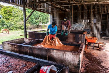 Soure, Brezilya - 11 Aralık 2025: Soure, Ilha de Marajo, Brezilya 'daki deri tabakhanesinde çalışan insanlar