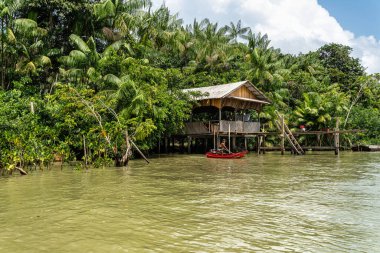Belem, Brezilya - 13 Aralık 2025: Brezilya 'nın kuzeyinde yer alan Belem do Para' daki Guama Nehri 'nde tekne turu. Amazon ormanlarının oradaki doğal yeşil alan..