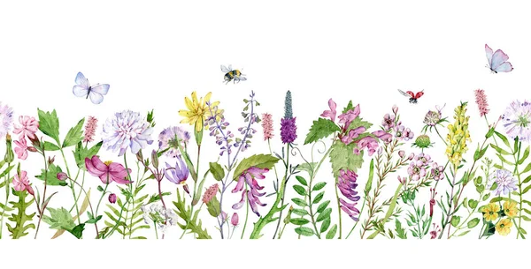 Watercolor seamless border with wildflowers, bumble bees, butterflies and lady bugs. Filed flowers header.