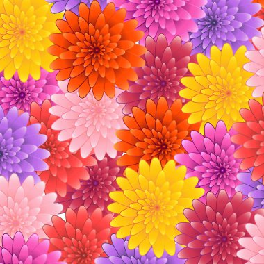 Kasımpatı Dijital Çiçek Arkaplanı Sıcak Tonları