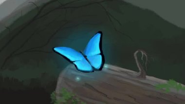 Morpho kelebeği, el yapımı animasyon