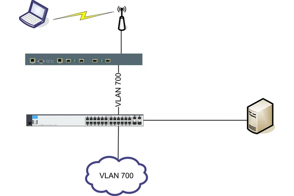 Network WLAN VLAN Diagram Illustration — Stock Photo, Image