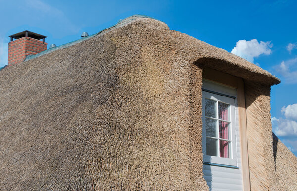 Соломенная крыша на побережье Северного моря
 