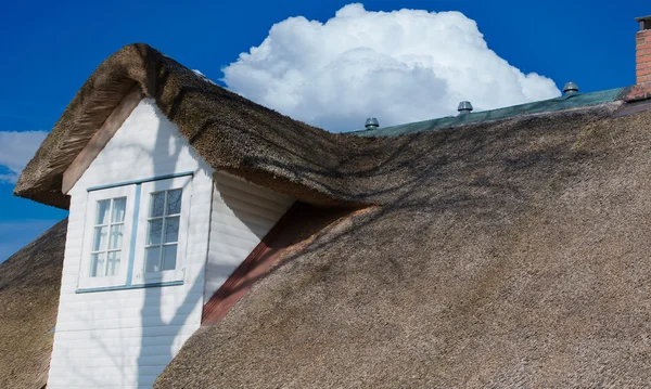 Соломенная крыша на побережье Северного моря — стоковое фото