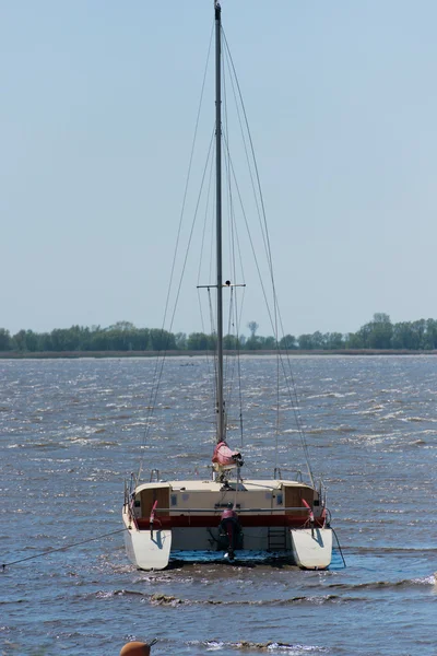 Katamaran, Elbe üzerinde çapa yer almaktadır