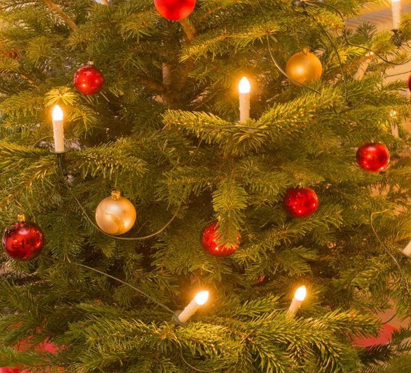 Bola de Natal na árvore de Natal — Fotografia de Stock