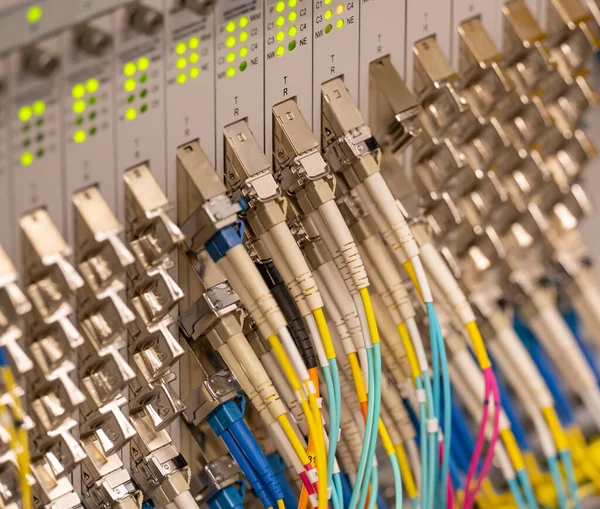 Network switch and network cable fiber optic fiber in a data center