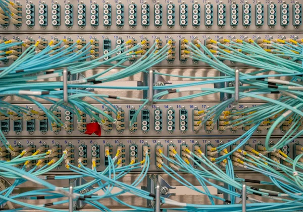 Network switch and network cable fiber optic fiber in a data center