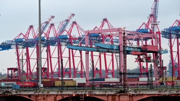 Hamburg Duitsland November 2020 Containerterminal Eurogate Burchardkai Hamburg Laden Lossen — Stockvideo