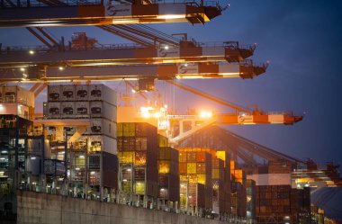 Hamburg, Almanya - 14 Kasım 2020: Hamburg, Burchardkai 'deki konteyner terminali, çeşitli nakliye şirketleri tarafından çeşitli konteynırların yüklenip boşaltılması