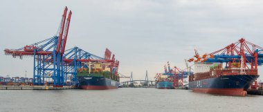 Hamburg, Almanya - 01 Ağustos 2020: Hamburg 'daki Eurogate Terminali, Konteyner şirketi Schiffe APL, HMM ve Khlbrand Bridge